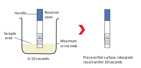 Diagram illustrating the dipping and reading process